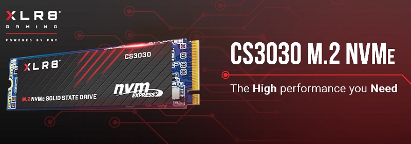 PNY M280CS3030-250-RB CS3030 250GB PCI EXPRESS NVME SSD